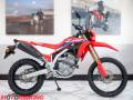 2021 Honda CRF300L Photo #1