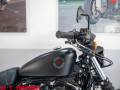 2020 Harley-Davidson SPORTSTER 883 IRON Photo #4