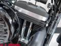 2020 Harley-Davidson SPORTSTER 883 IRON Photo #16