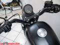 2020 Harley-Davidson SPORTSTER 883 IRON Photo #25