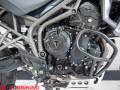 2017 Triumph TIGER 800  XCx Photo #9