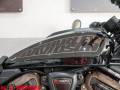 2022 Harley-Davidson SPORTSTER S Photo #5