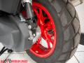 2025 BMW C400X RUGGED Photo #24