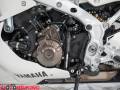 2024 Yamaha XSR 900 GP Photo #16