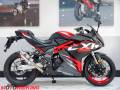 2026 Lexmoto LXR 125 SE Photo #1