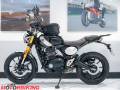 2024 Triumph SCRAMBLER 400 X Photo #19